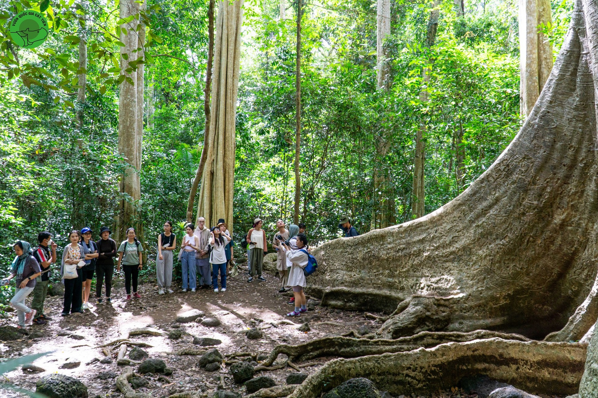 Du khách khám phá rừng ở Vườn Quốc gia Cát Tiên