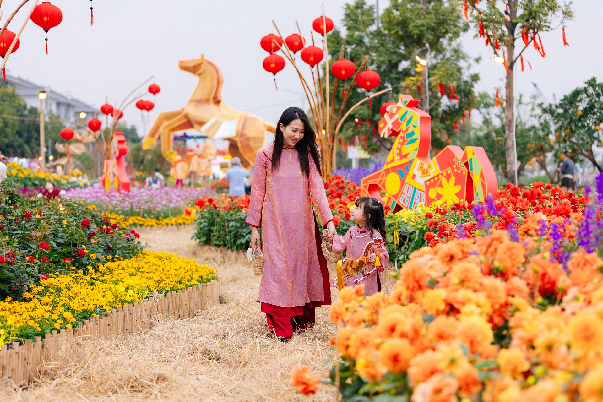 ảnh số 8 trong bài.jpg