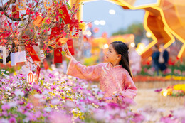 ảnh số 9 trong bài.jpg