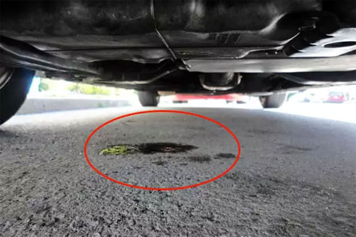 chay dau gam xe.jpeg