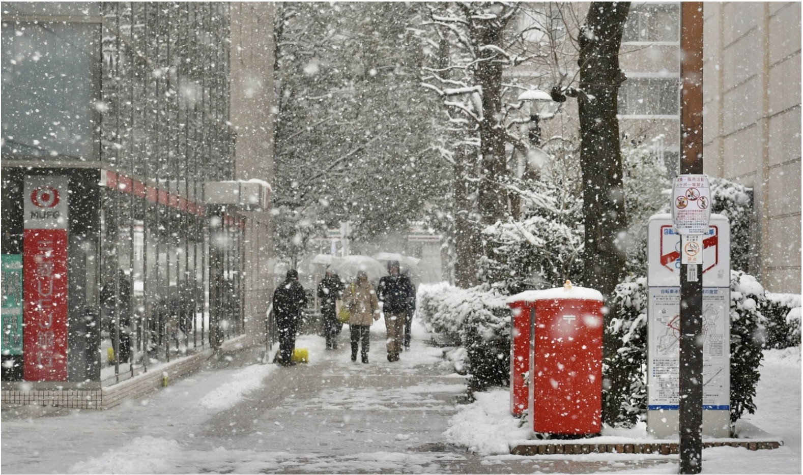 Tuyết. Ảnh: Japan Times