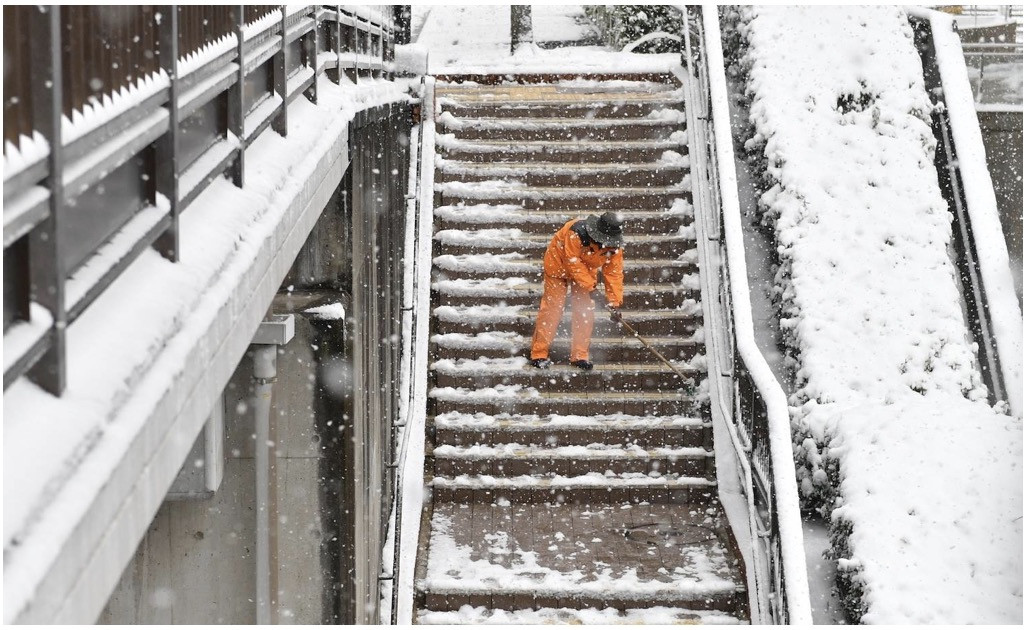 Tuyết. Ảnh: Japan Times