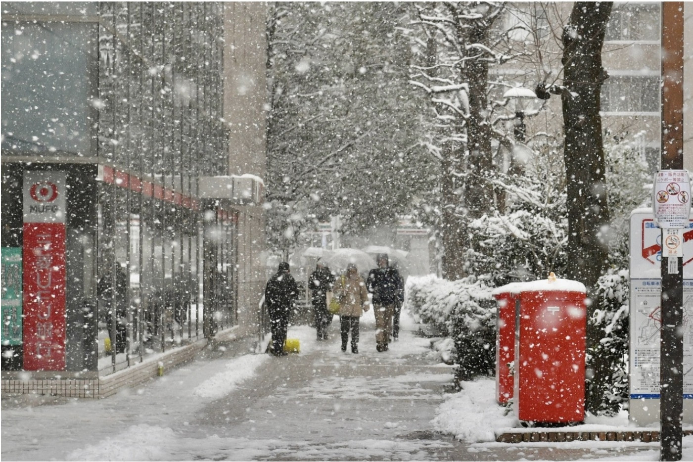 Tuyết rơi dày đặc ở Nhật làm hơn 500 người thương vong