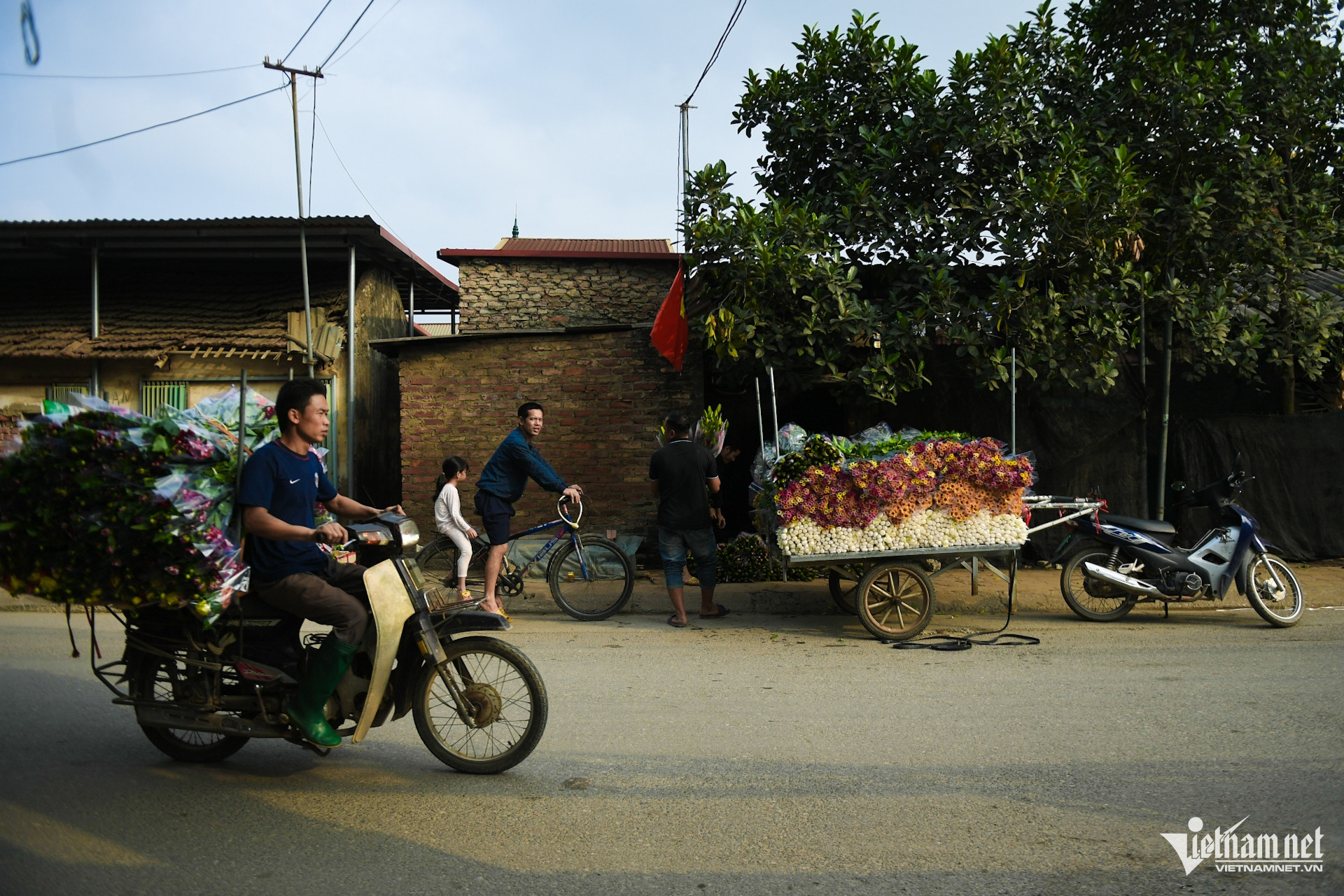 W-hoa tay tuu (15).JPG.jpg