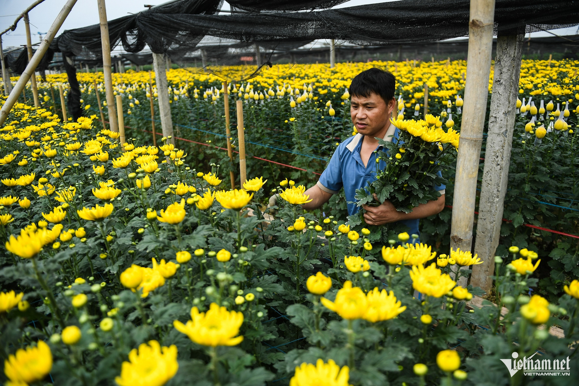 W-hoa tay tuu (9).JPG.jpg