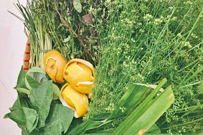 Ý nghĩa tục lệ rửa mặt bằng nước rau mùi già vào dịp tết Nguyên đán