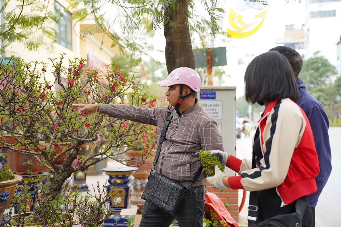 Đào Thất Thốn xuống phố đón Tết, giá thuê lên tới 200 triệu đồng