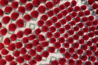 Làng nhang 100 tuổi ở TPHCM rực rỡ sắc đỏ, không dám nhận đơn hàng vụ Tết