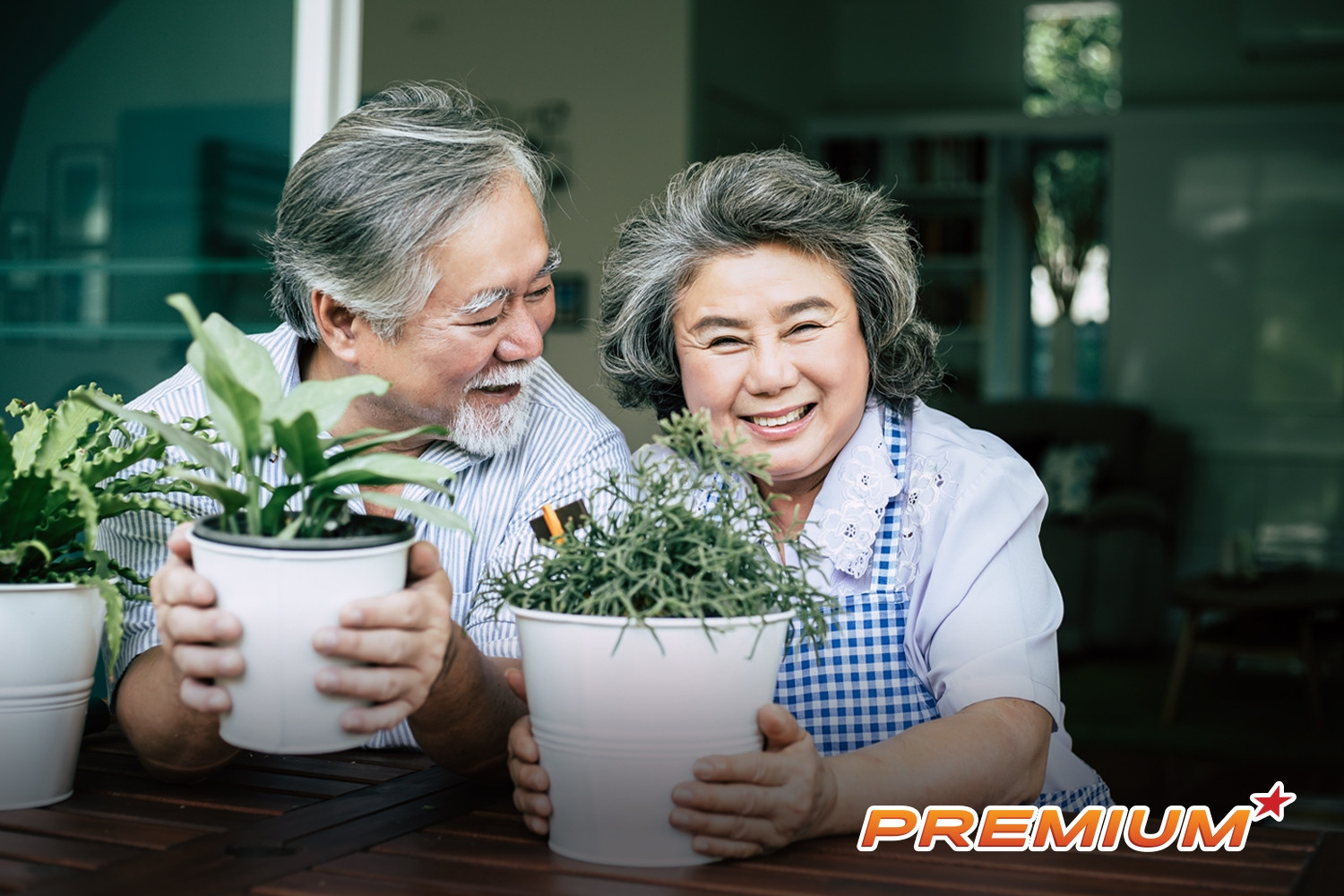 Việt Nam lọt nhóm top 10 quốc gia đáng sống nhất thế giới đối với người nghỉ hưu