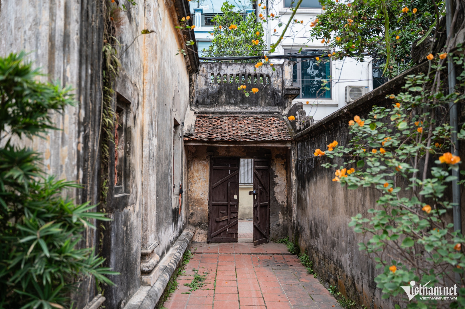 Những con ngõ nhỏ ở làng Đông Ngạc