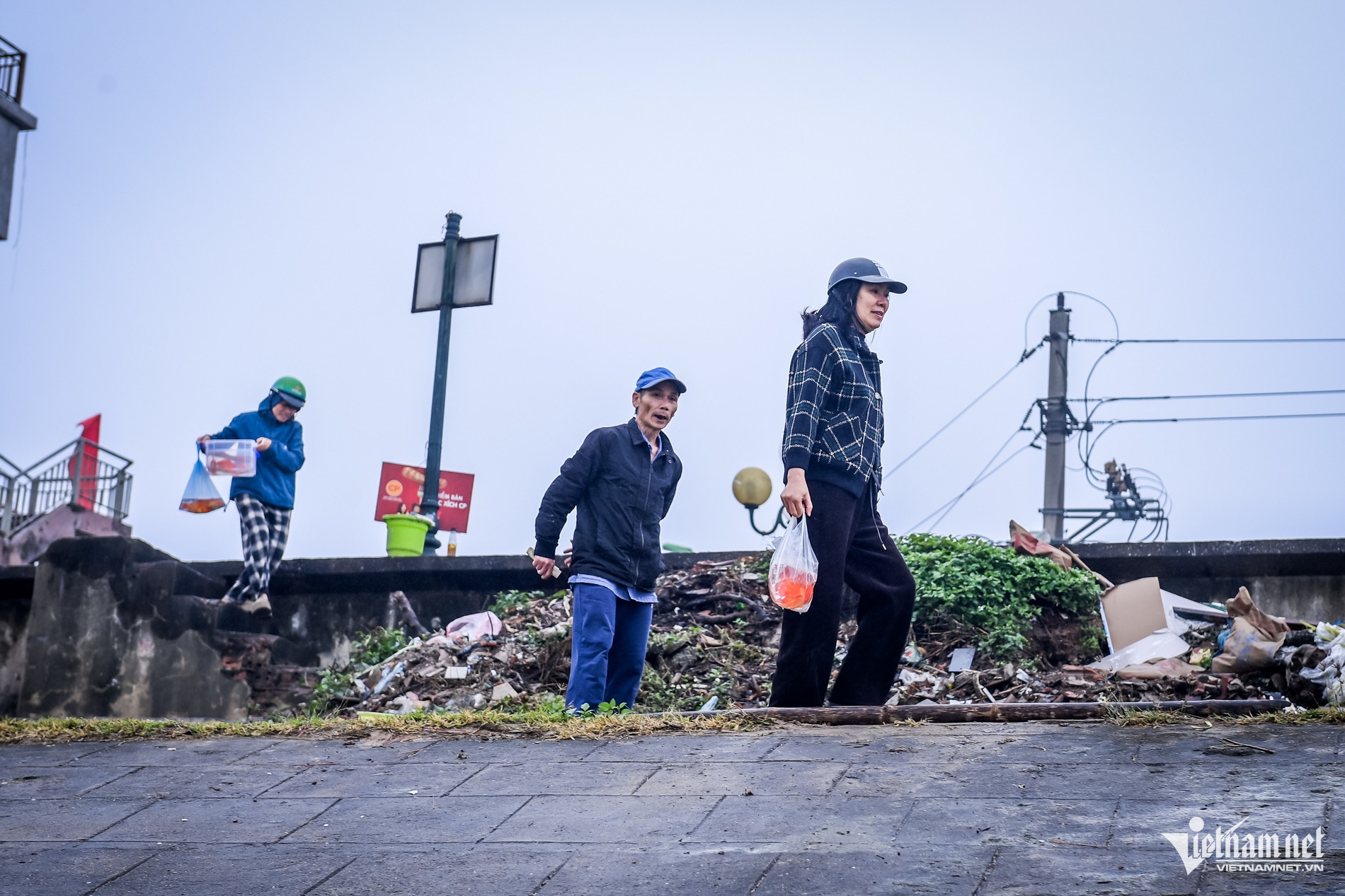 W-thả cá chép_1.jpg