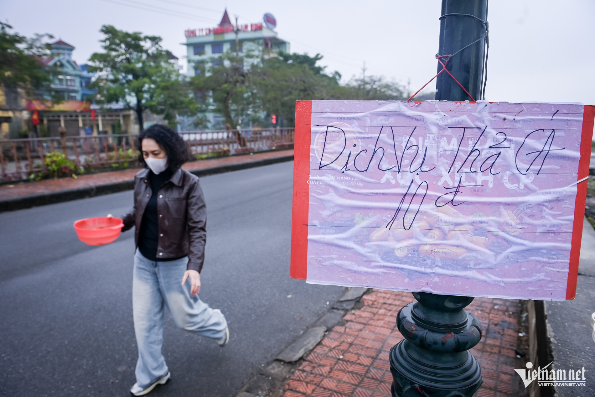 W-thả cá chép.jpg