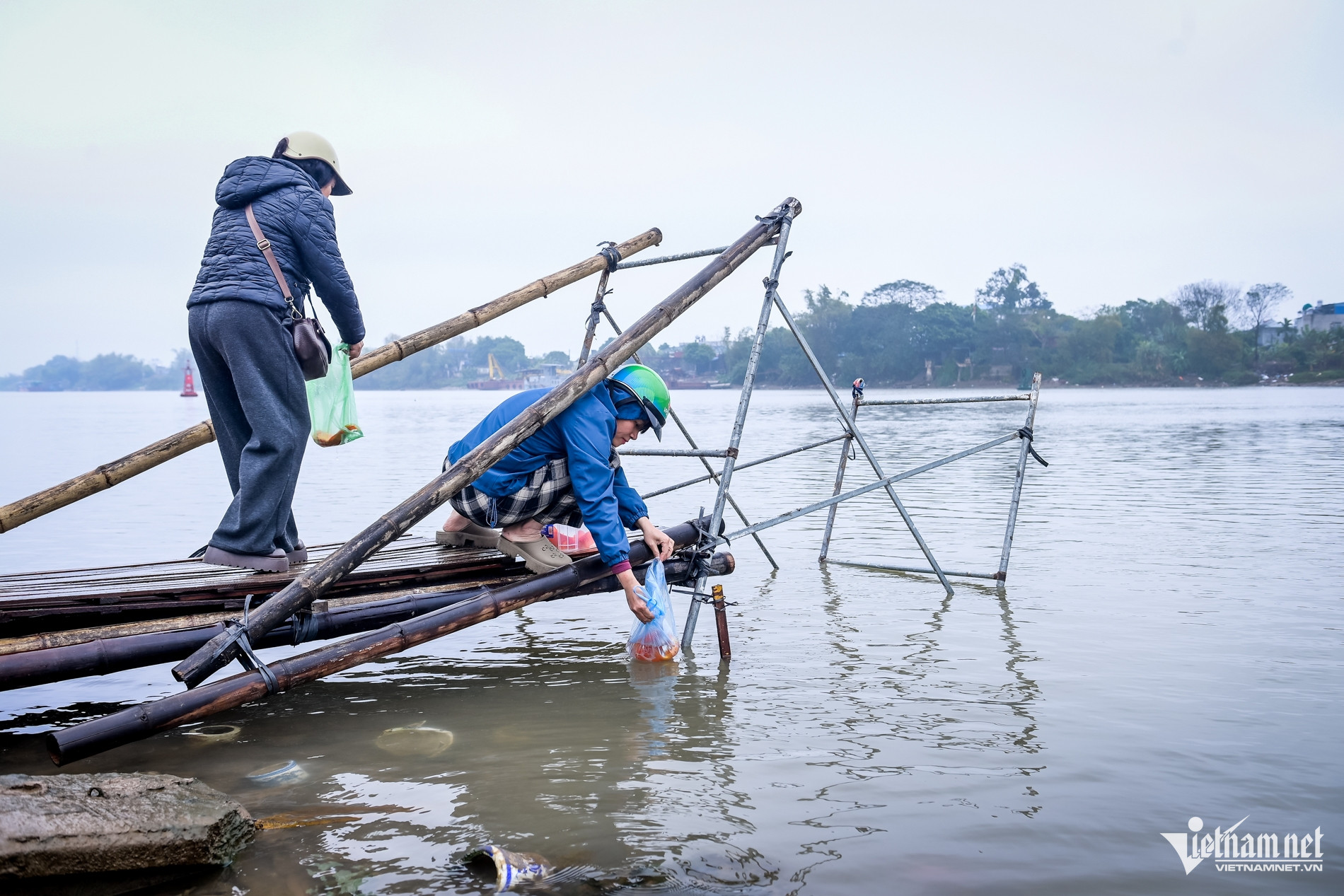 W-thả cá chép_2.jpg