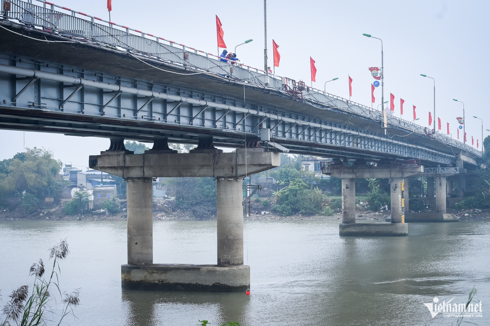 W-thả cá chép_6.jpg