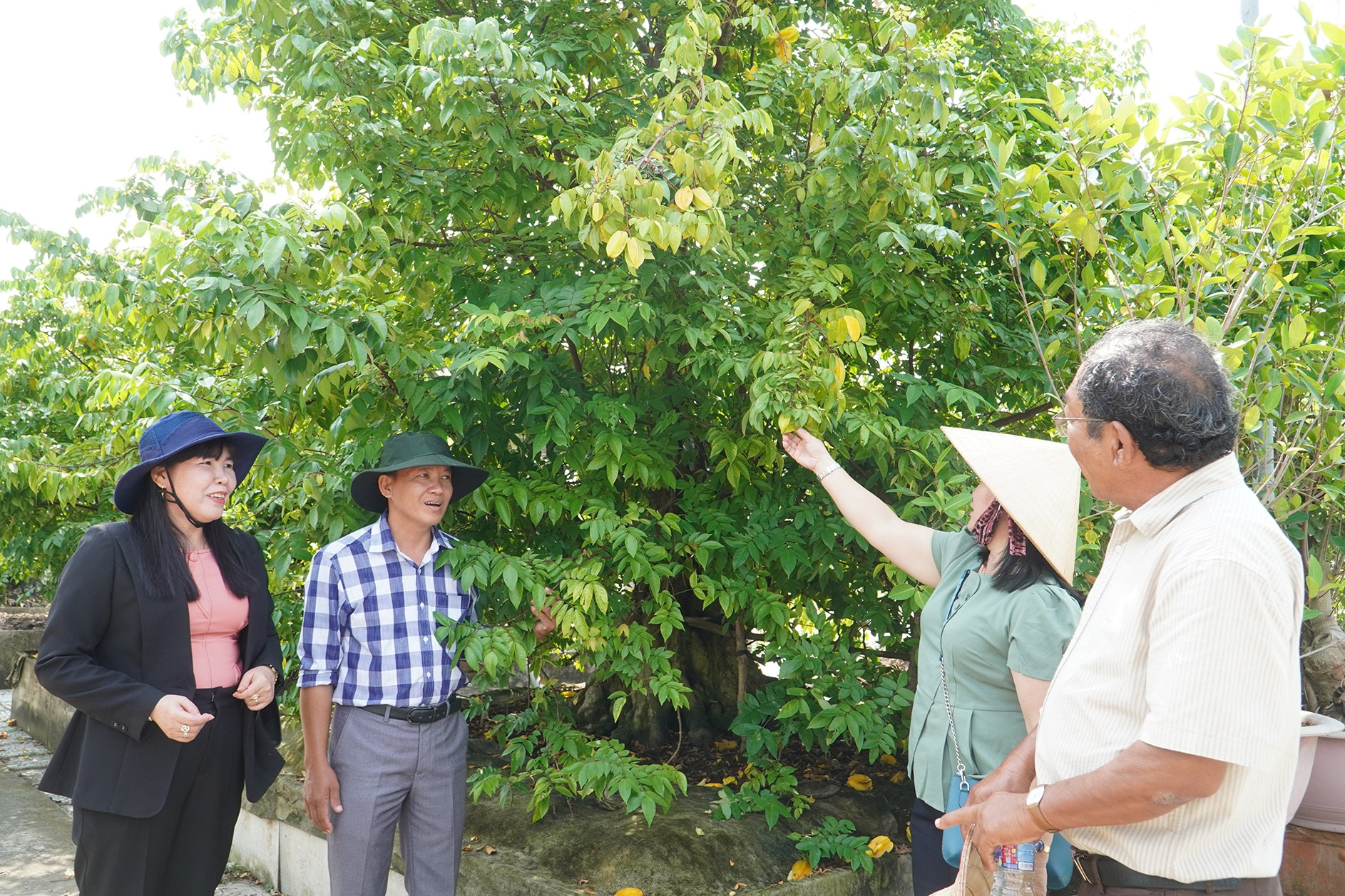 'Bí mật' sau vườn kiểng bonsai bạc tỷ của người đàn ông ở Cần Thơ