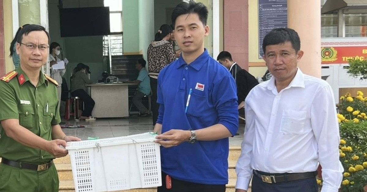 Đang dạo vườn, thanh niên Tây Ninh bất ngờ phát hiện Rồng Đất quý hiếm