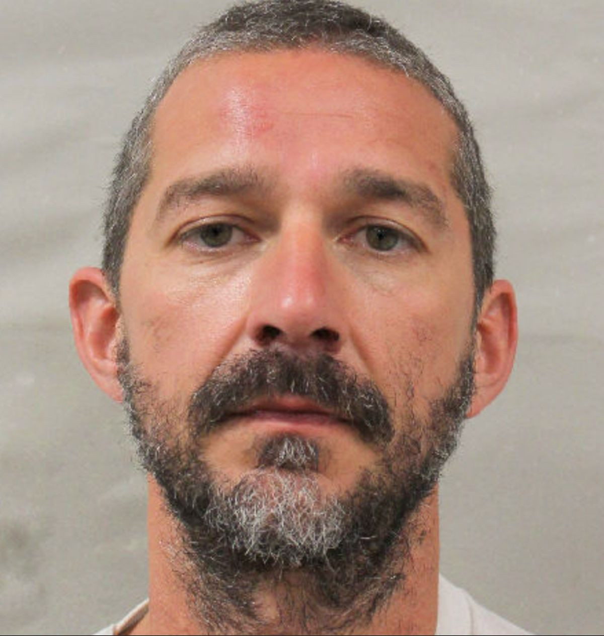 shia labeouf mugshot2 22026 bb9be97ba33e4fb3b5cbe3e90a4aef89.jpg