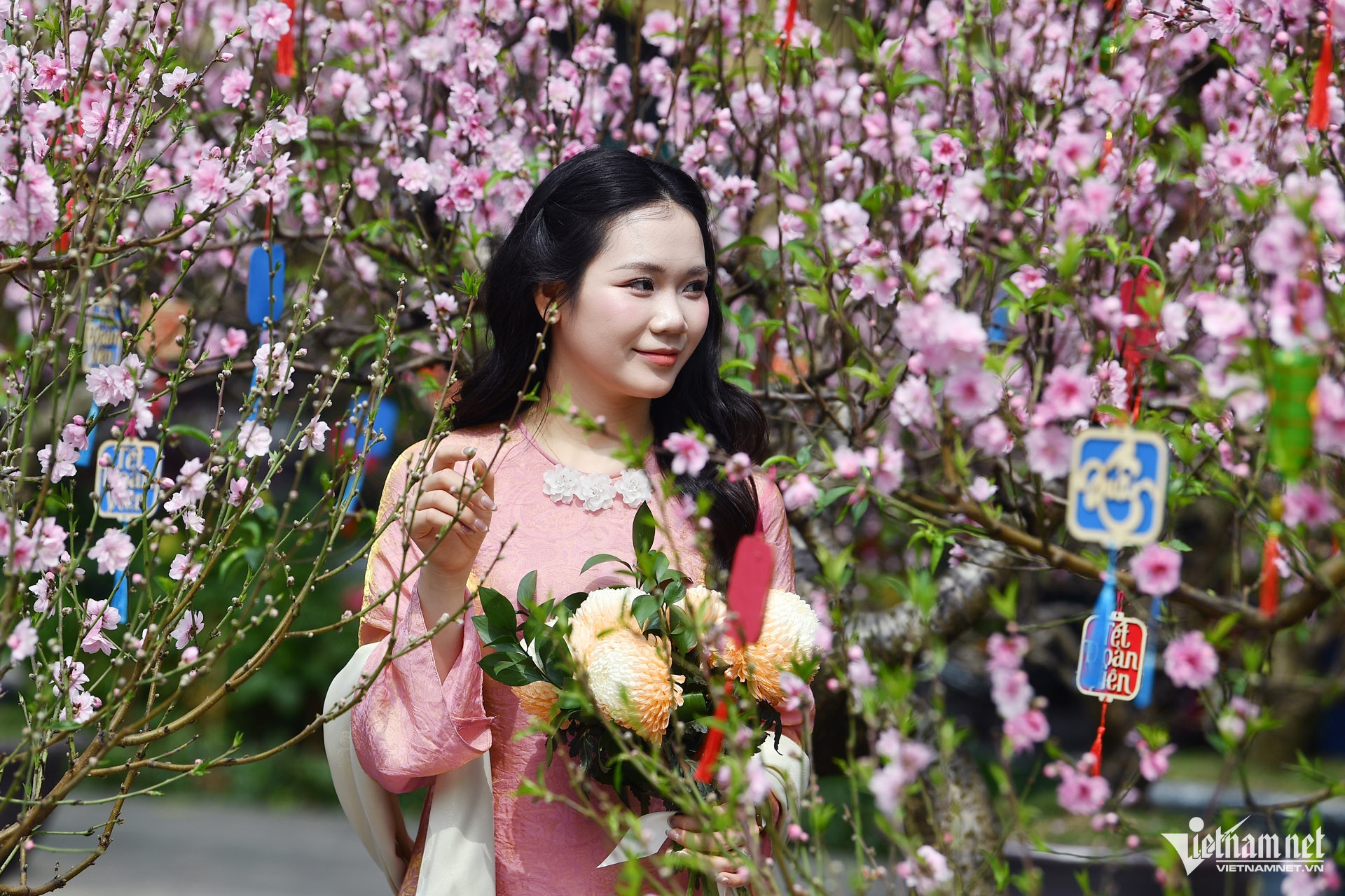 W-khong khi lanh HN Tet 2026 HHa 11.jpg