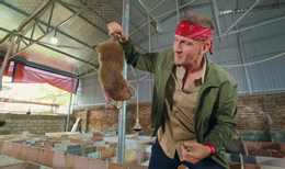 Screenshot 2026 03 09 155336.png