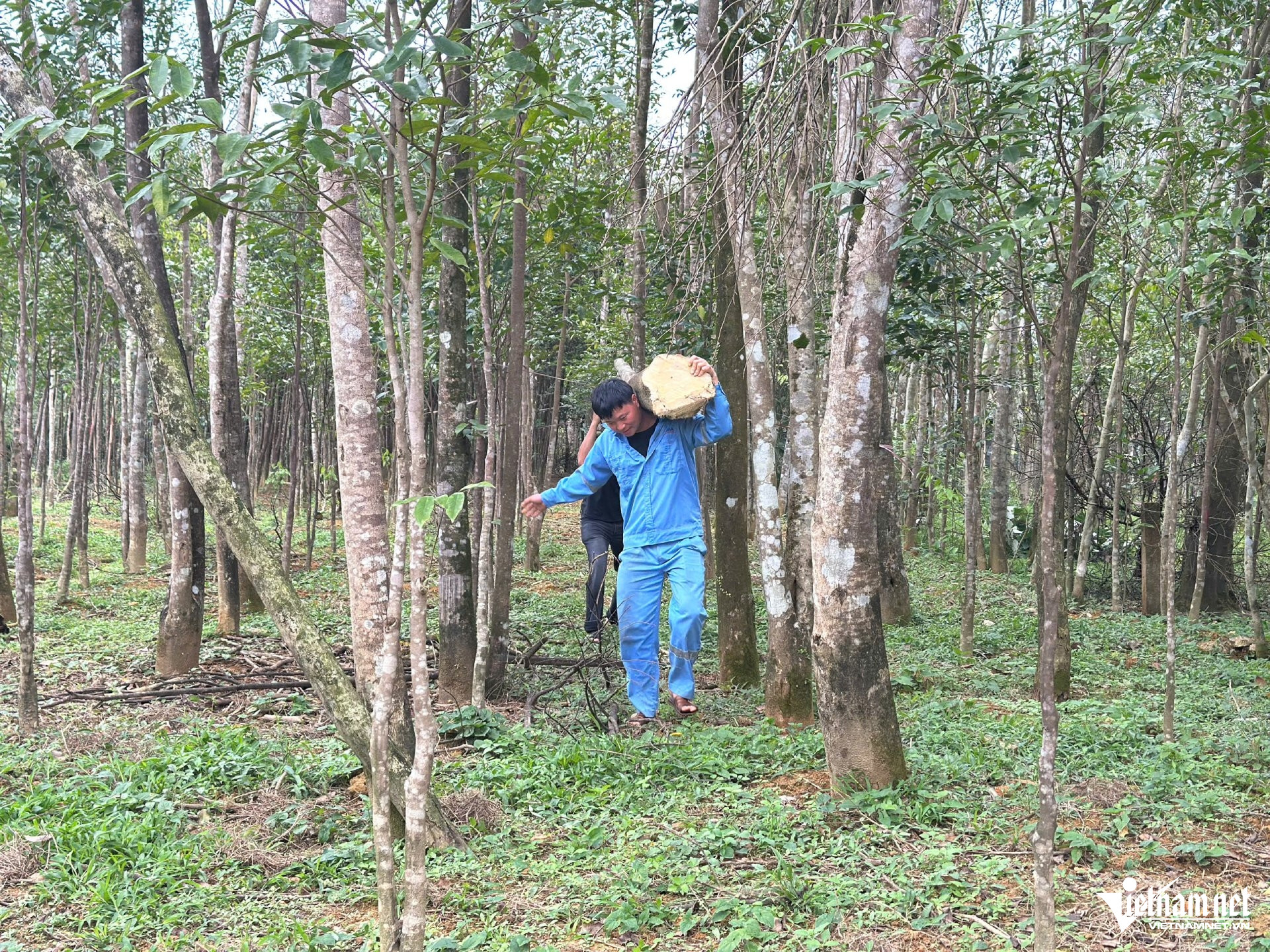 W-a trầm hương2.jpg