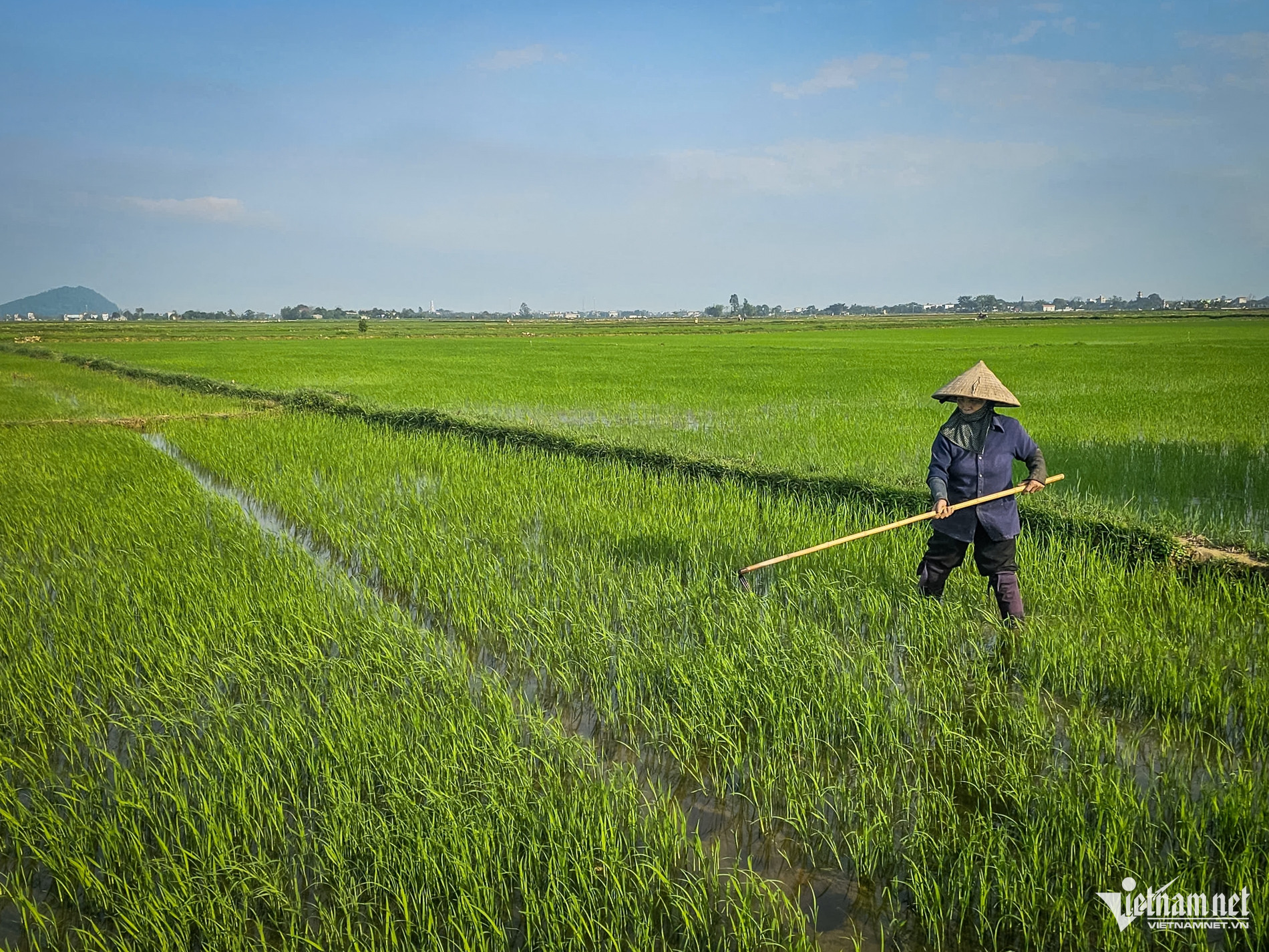 W-Hoàn cảnh Y yên_2.jpg