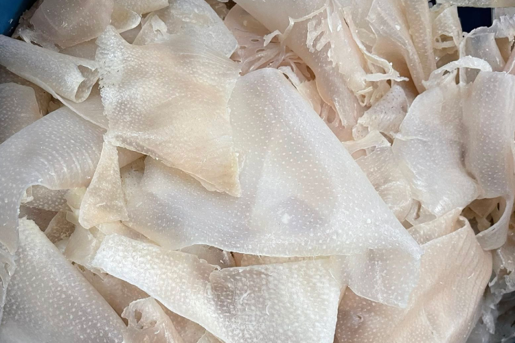 Bì lợn - bộ phận bị ghẻ lạnh nhưng là 'kho báu' chống già