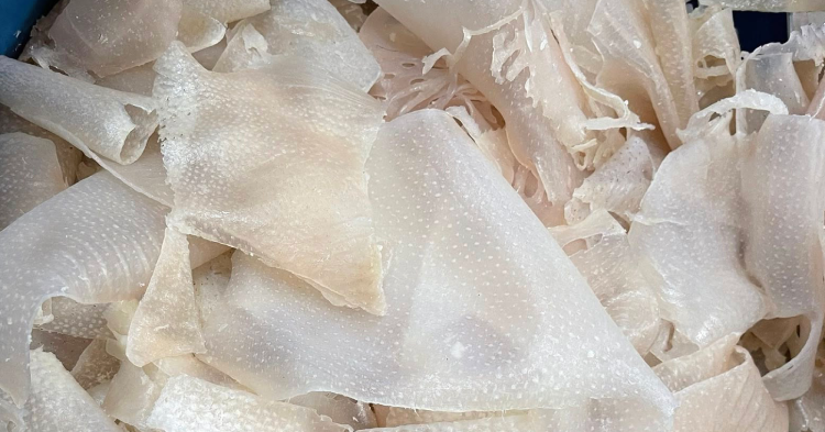 Bì lợn - bộ phận bị ghẻ lạnh nhưng là "kho báu" chống già