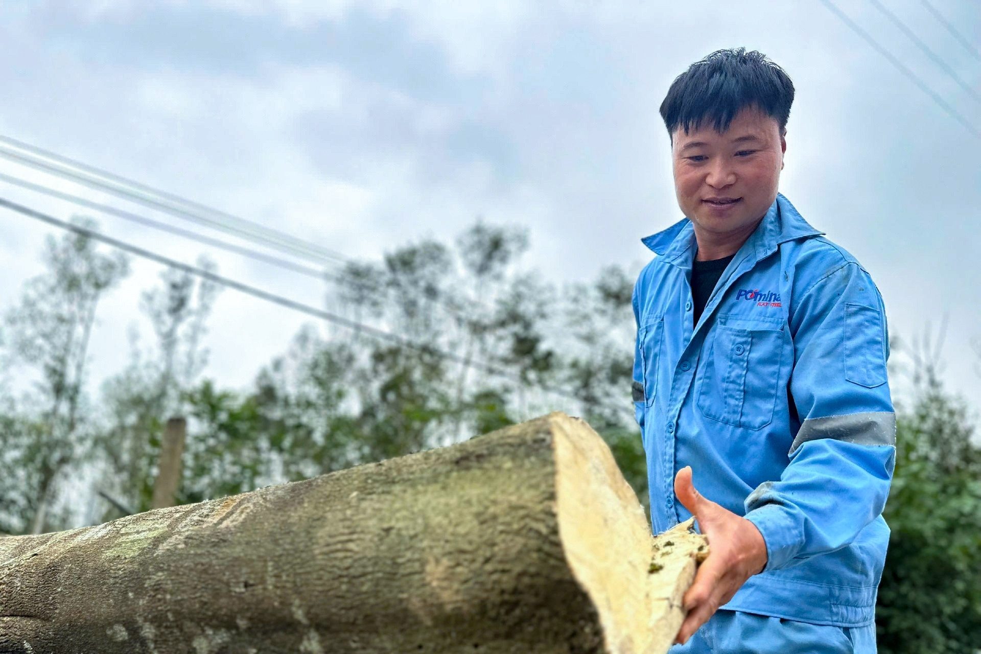 Nông dân xã miền núi Hà Tĩnh thu trăm tỷ nhờ 'tìm vàng' trong thân cây