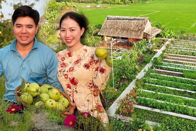 Vợ chồng ở An Giang bỏ phố về quê dựng khu vườn xanh mướt, hút triệu view