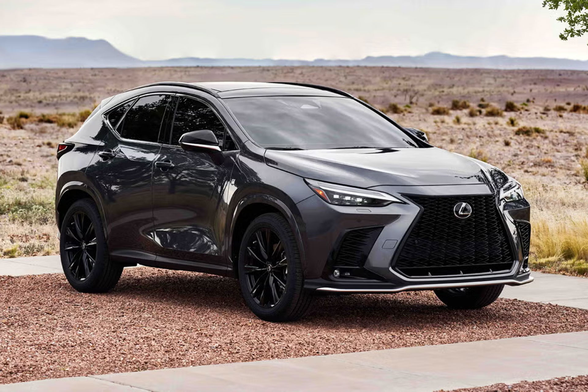 Lexus NX.jpg