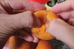 Khách Nhật thử đặc sản giá 120 nghìn/quả ở Vĩnh Long, nức nở khen ngon YwAAAAAAQABAAACAUwAOw==