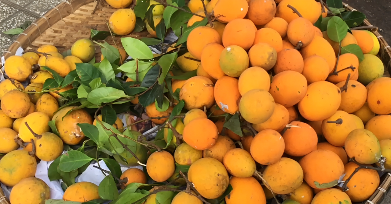 Sản vật miền Tây có múi giống mít, vị chua ngọt như măng cụt hút khách tìm mua