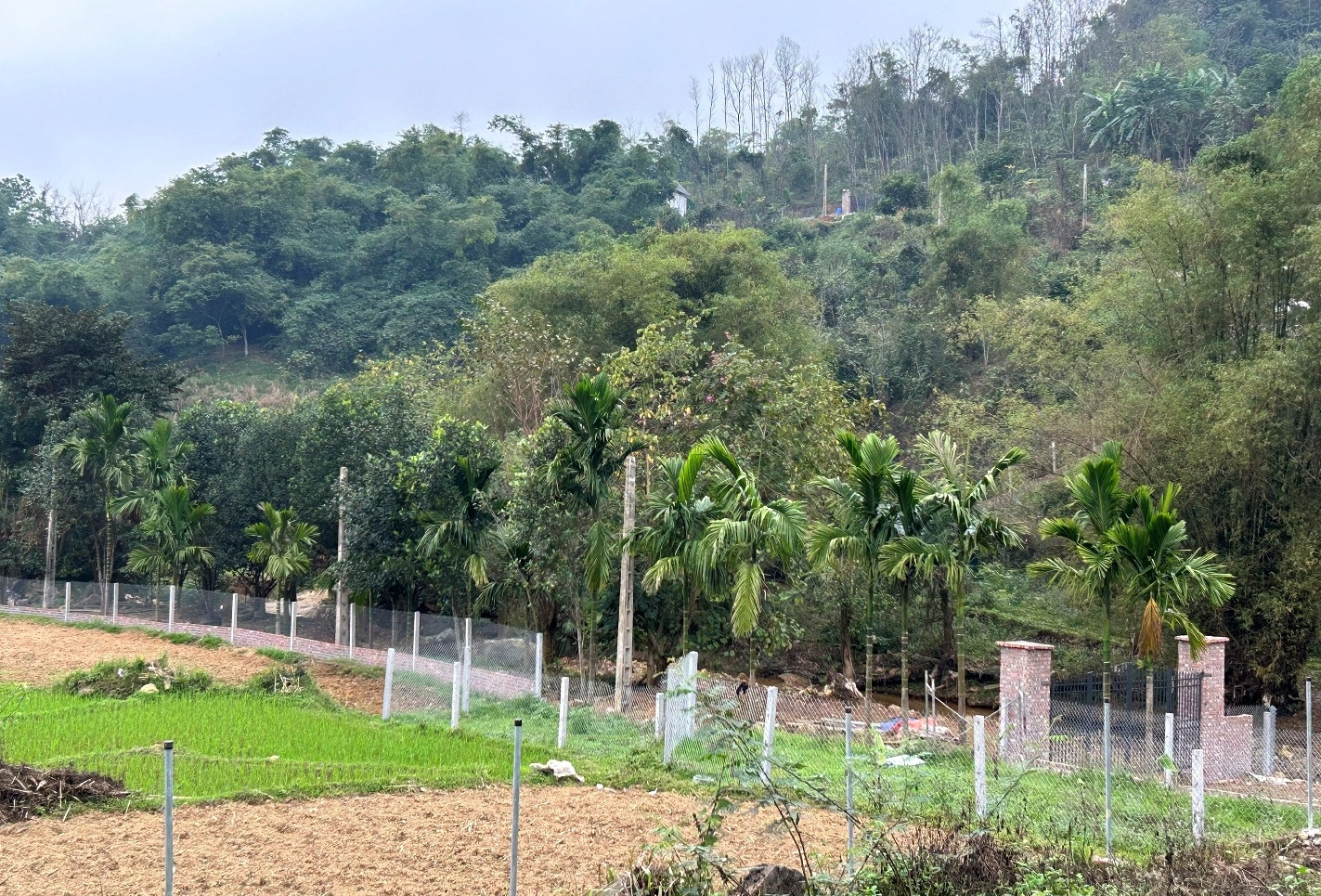 Tặng đất cho con và cháu, vì sao vẫn phải nộp thuế thu nhập cá nhân?