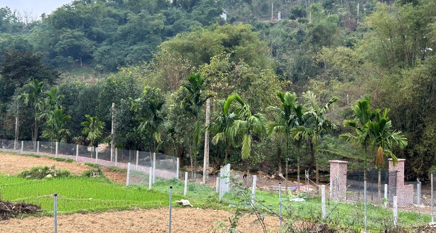 Tặng đất cho con và cháu, vì sao vẫn phải nộp thuế thu nhập cá nhân?