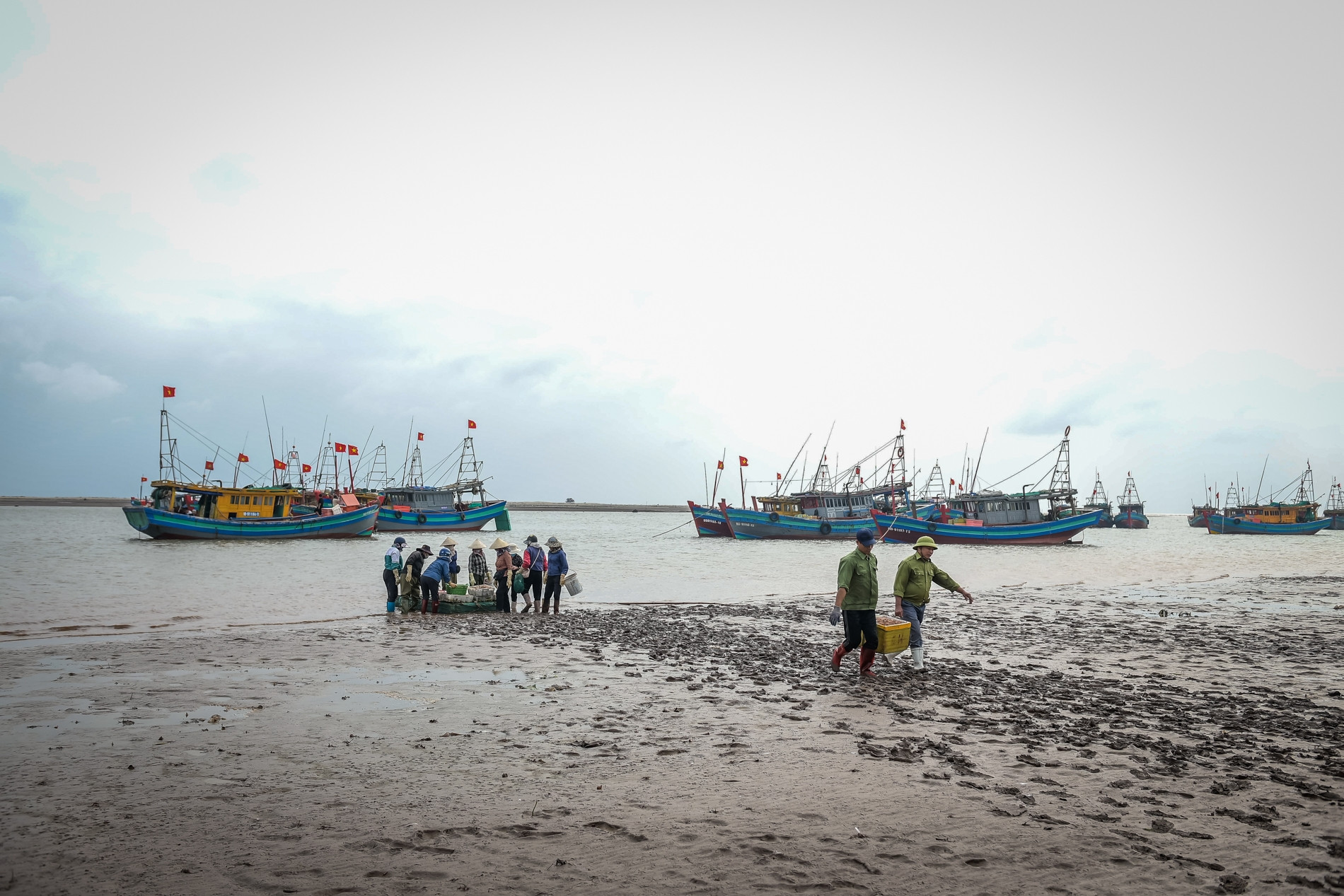 Cảnh khác lạ tại bến cá nổi tiếng Ninh Bình