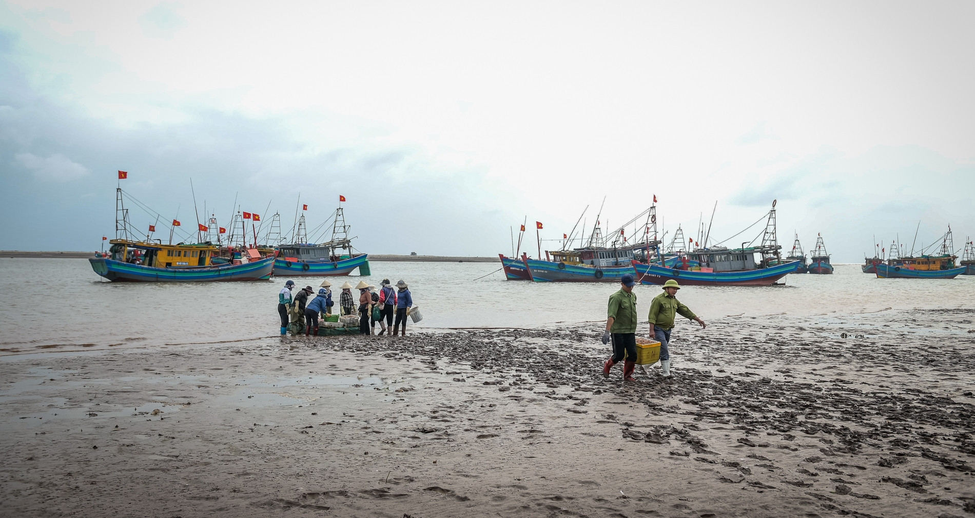 Cảnh khác lạ tại bến cá nổi tiếng Ninh Bình