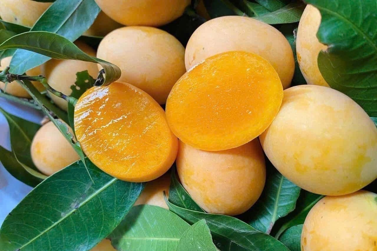 Loại quả giải nhiệt bán đầy chợ nhưng người đau dạ dày không nên ăn