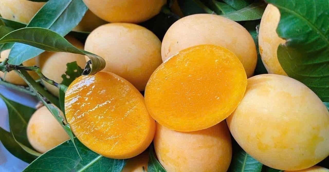 Loại quả giải nhiệt bán đầy chợ nhưng người đau dạ dày không nên ăn