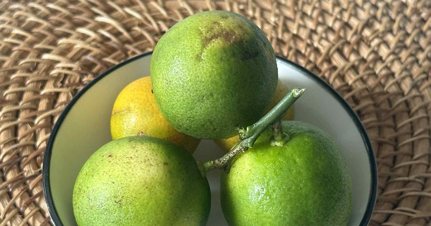 Lý do bạn nên giữ vỏ chanh để ăn thường xuyên