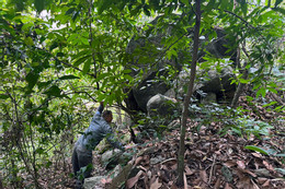 Tang da 2.jpg