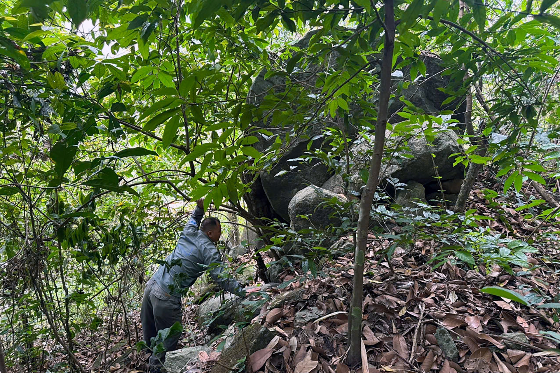 Tảng đá lớn chênh vênh trên đèo Bảo Lộc, nguy cơ đổ xuống đường