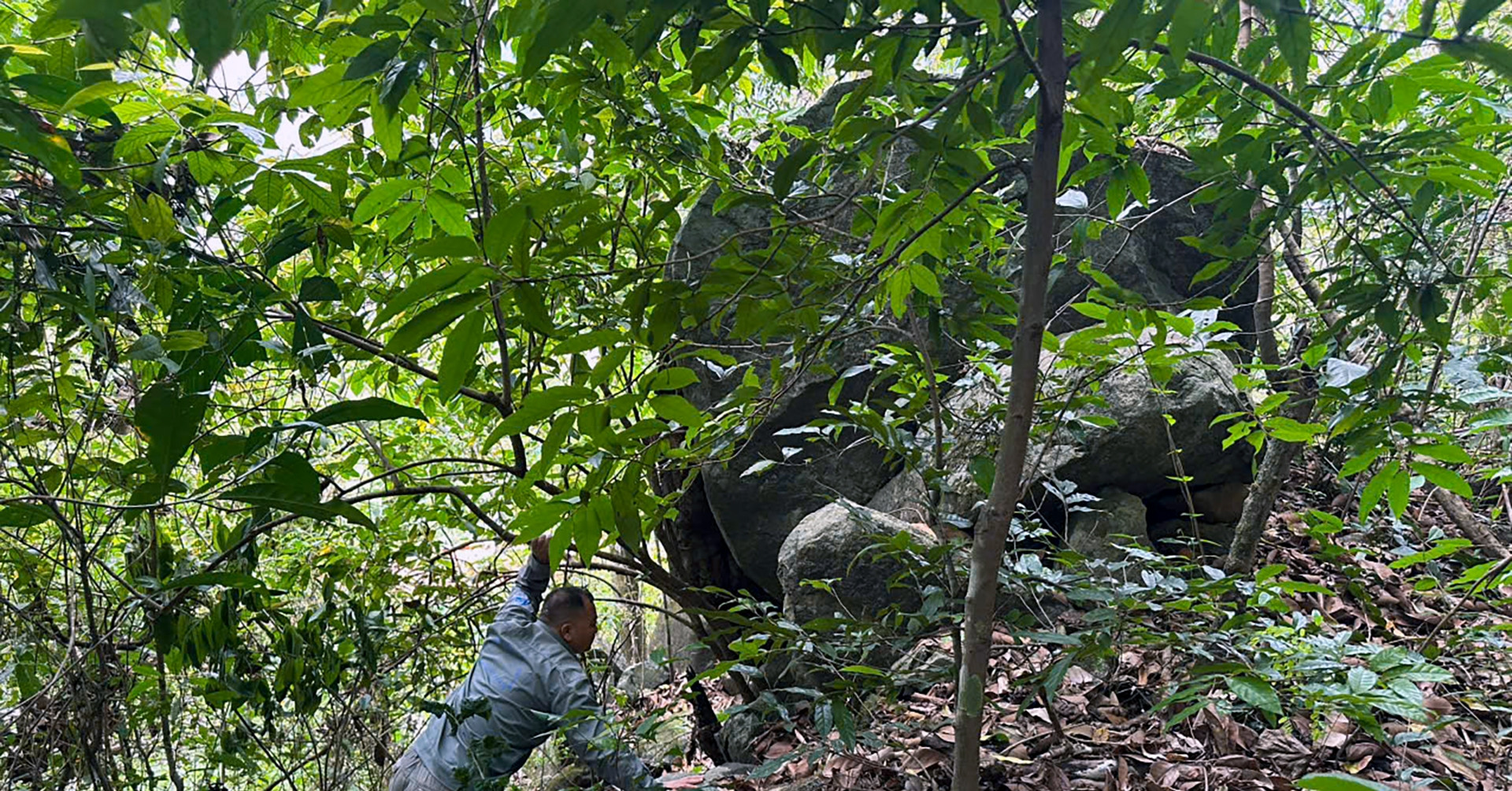 Tảng đá lớn chênh vênh trên đèo Bảo Lộc, nguy cơ đổ xuống đường