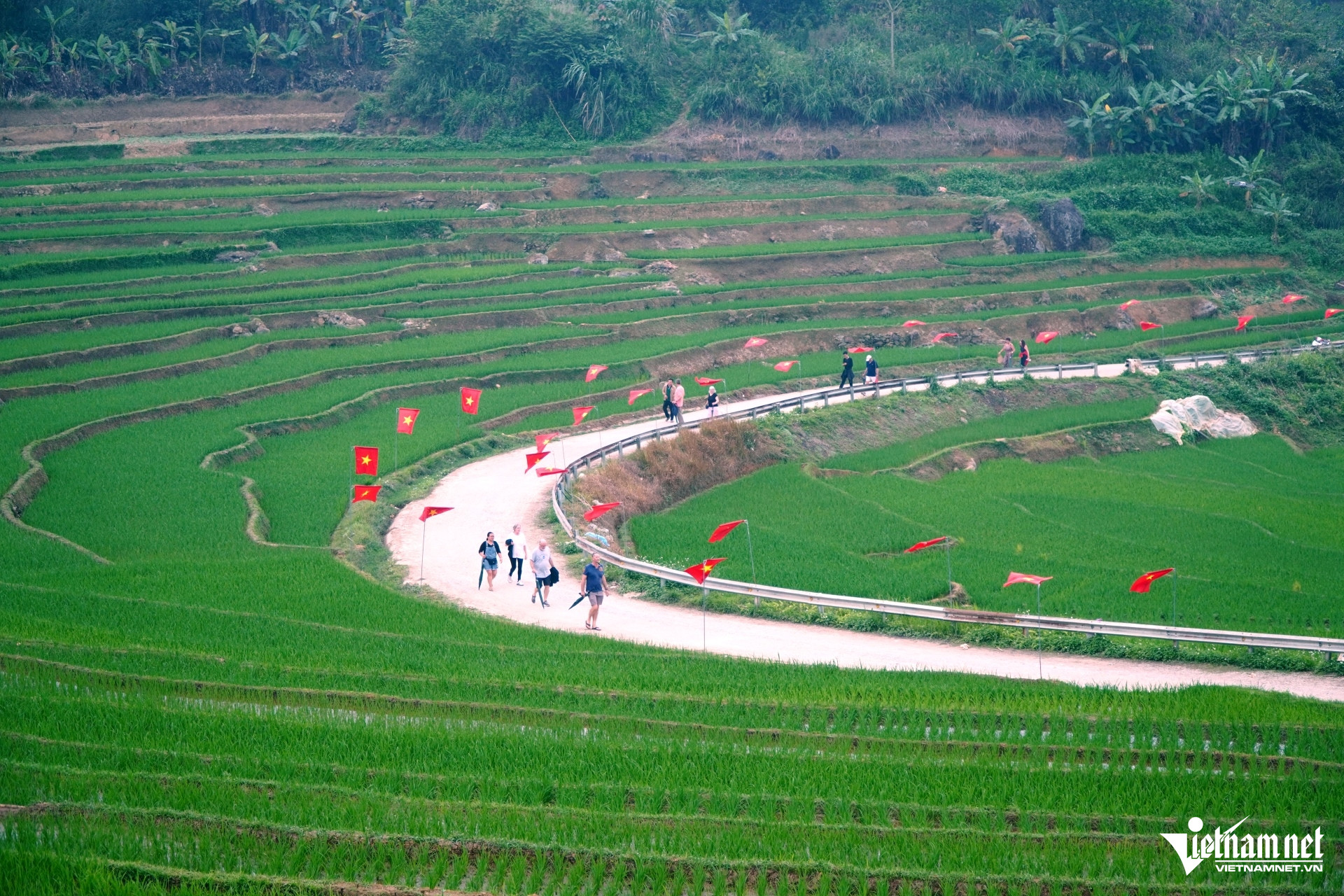 W-a2Rợp cờ hoa trên con đường chữ.JPG.jpg