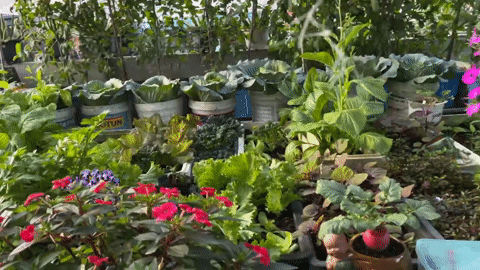 b62ef137-0017-4dfc-8b24-9edc191b31e0.mp4