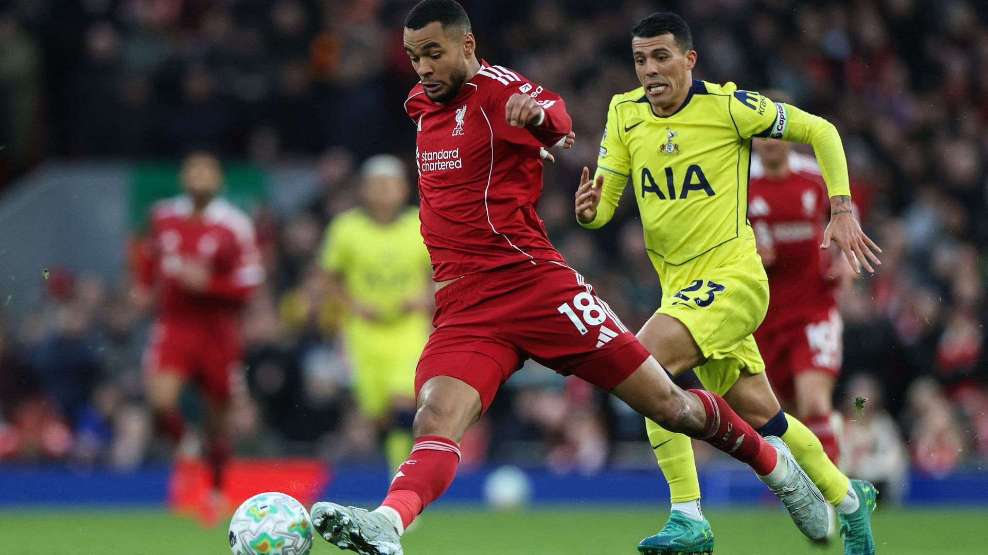 resources_premierleague_pulselive_com 2266219595.jpg