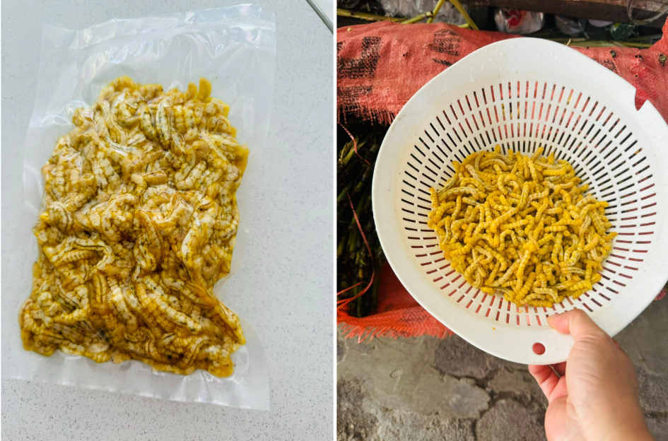 sâu chít   phạm thanh loan.png