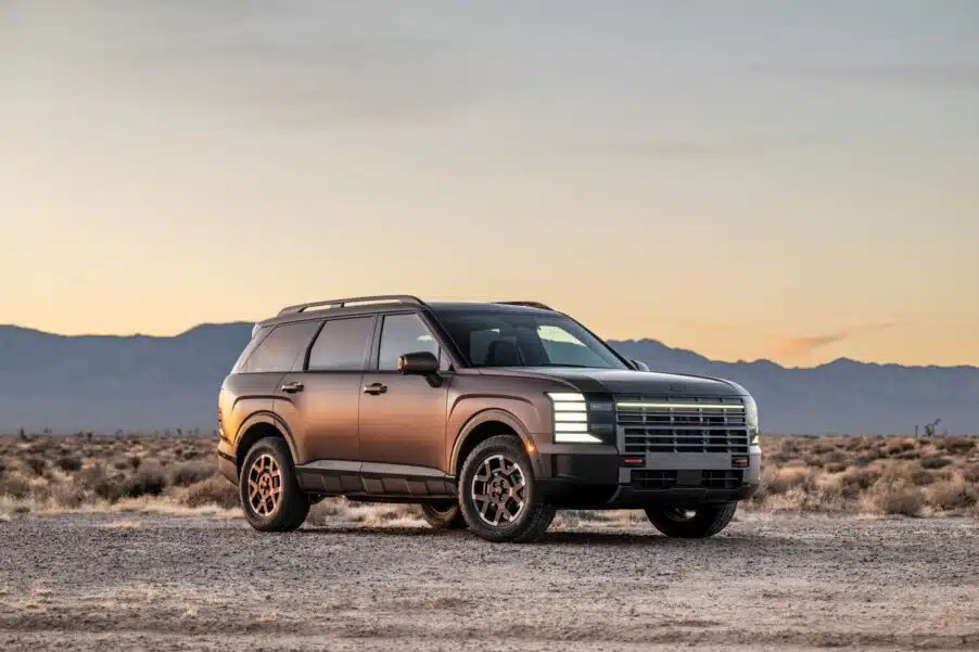 65397 DSC1181 902x601.jpg.webp