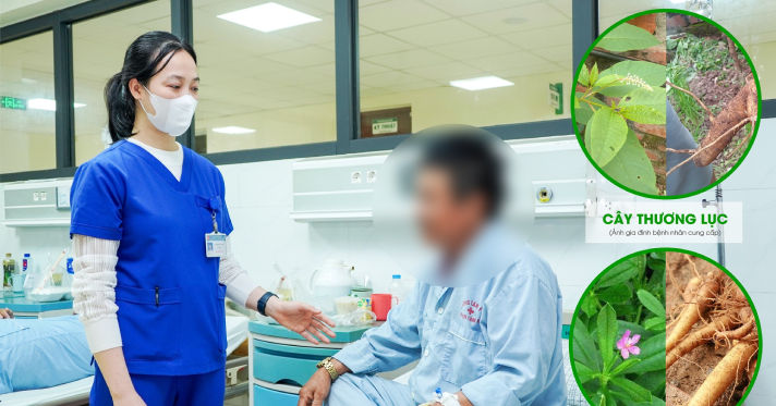 Cấp cứu sau khi ăn loại củ giống sâm đất