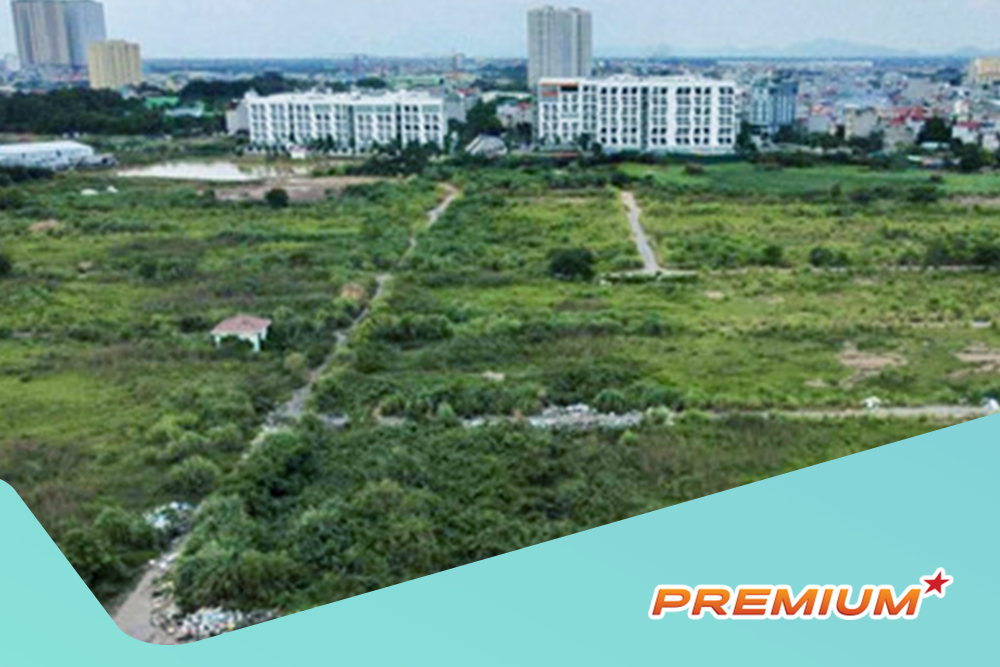 Dự kiến chủ tịch xã được xử phạt vi phạm đất đai đến 250 triệu đồng