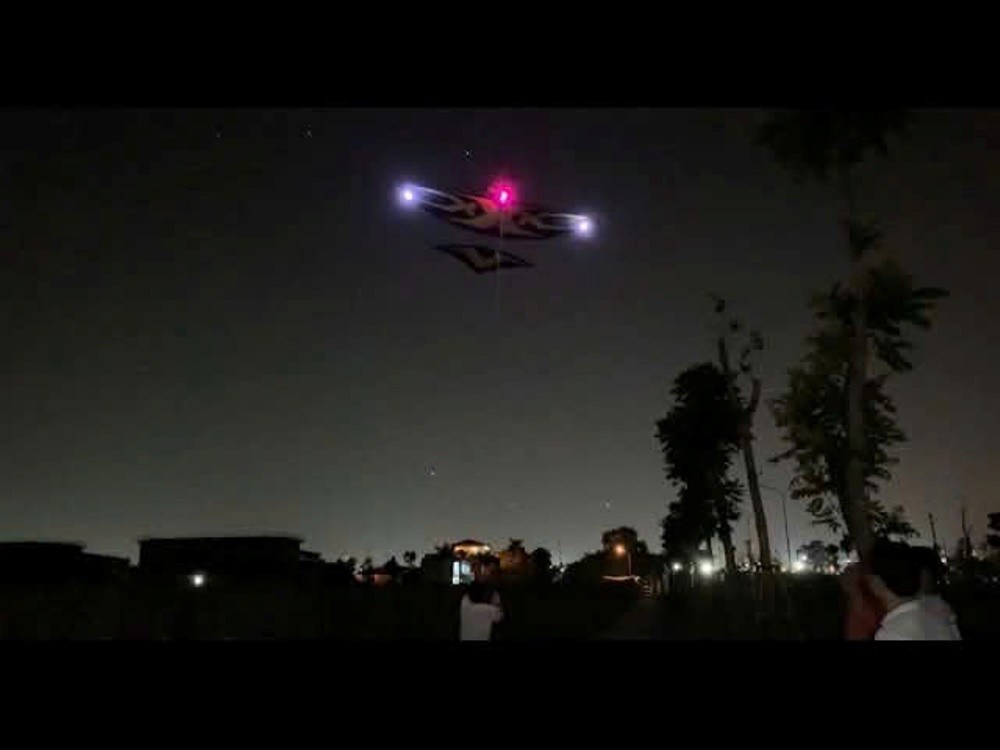 vat the bay cat bi.jpg